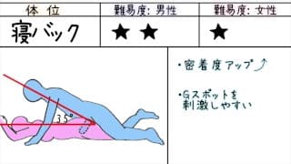 Sex Position Manual for Beginners